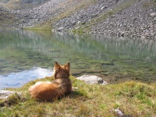 Lago di Mezzo