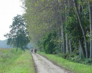 Zona di Carignano
