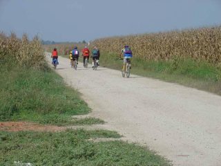 Strade bianche e granoturco