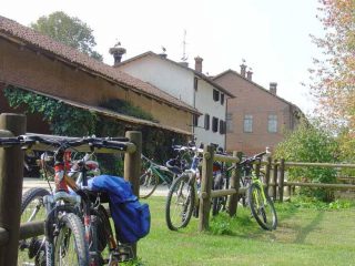 Bici e cicogne