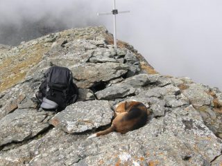 Cora in riposo