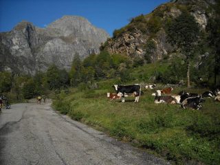All'inizio della salita 