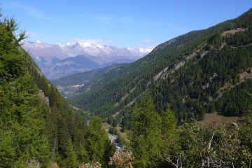 Veduta dal p.so verso Briga