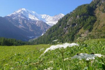 Il Fletschhorn