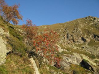 Sorbo degli Uccellatori e cresta sommitale del M. Rosso