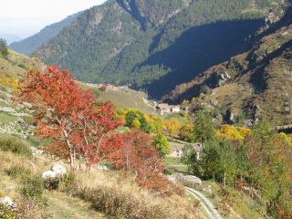 I bei  colori dell'autunno...