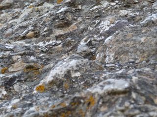 particolare della roccia
