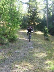 in discesa nel bosco