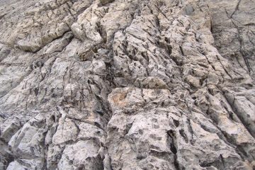 particolare roccia