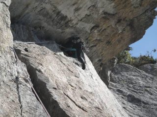 la tromba