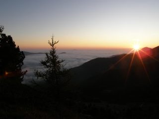 alba (2)