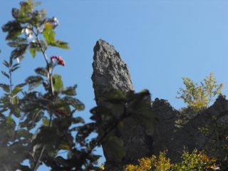 il monolite si intravede tra gli alberi