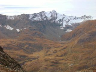 vallone e rosa dei Banchi