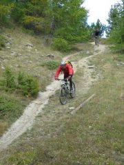 passaggio nel bosco