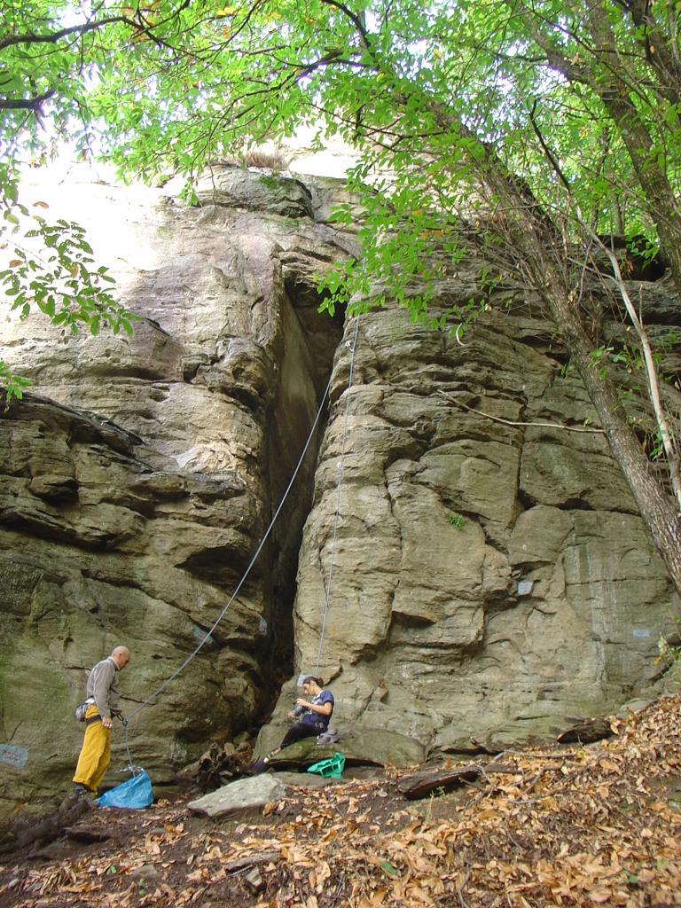 daniela su inizio lavori