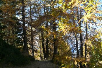 Sentiero dei cannoni