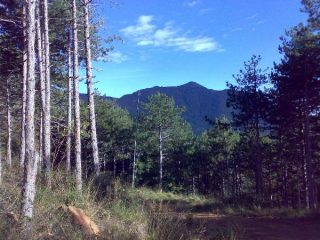 Musinè dalla pineta di salita