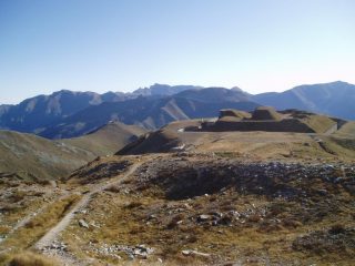 forte jaure