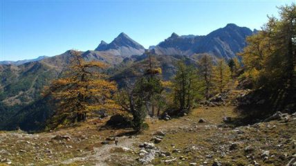 Cartolina