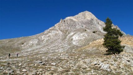 La vetta