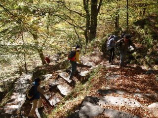 Il sentiero a scalini