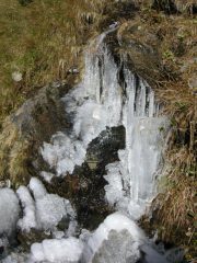 temperatutra notturna molto bassa...