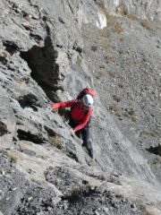 la placca iniziale