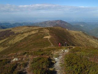 Verso la Robert