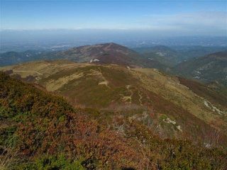 L'ampio crinale per la Cima Robert