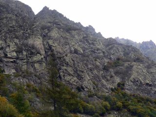 Le placche dei camosci