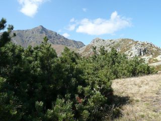 Cima Tressone con Tovo