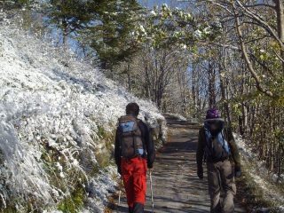 prima neve