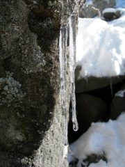 Testimoni della temperatura di oggi