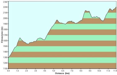 Profilo altimetrico della salita.