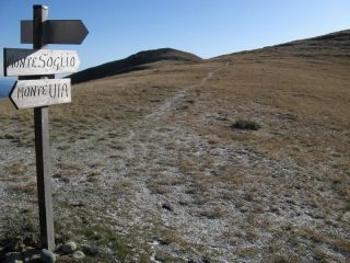 Il cammino è ancora lungo...