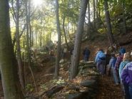 camminando nel bosco