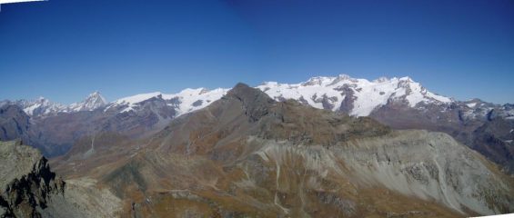 panoramica aui ghiacciai e in primo piano la Testa Grigia