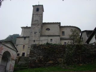 Succinto