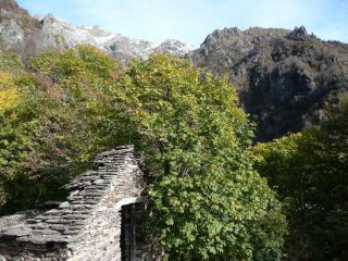 Alpe Baldesaut di sopra