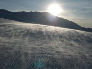 il compagno di quasi tutte le gite