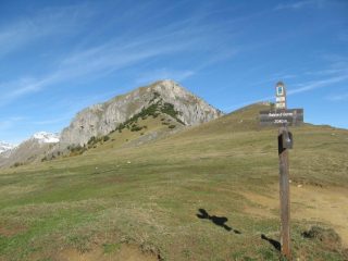 La dorsale