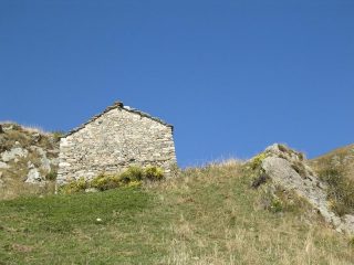 L'Alpe Nereira circondata da cespugli fioriti 