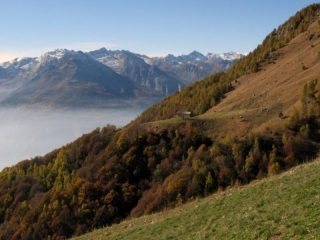 Alpe Boses