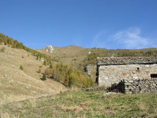 Alpe Boses e Bec di Nona sullo sfondo