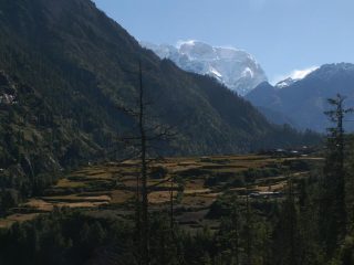 Manaslu