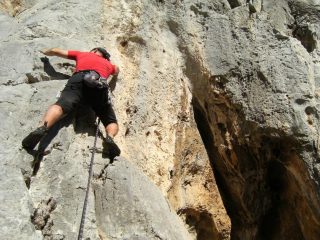 Kowalski sul caimano 5b