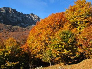 Magie dell'autunno 4