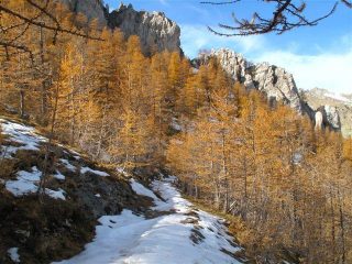 Il sentiero sotto la cima di Pian Tendasco, in centro l'intaglio dove va a passare il sentiero