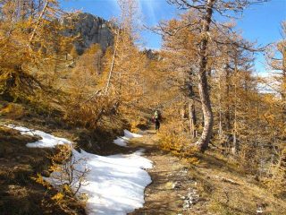 La mulattiera verso la cima di Pian Tendasco