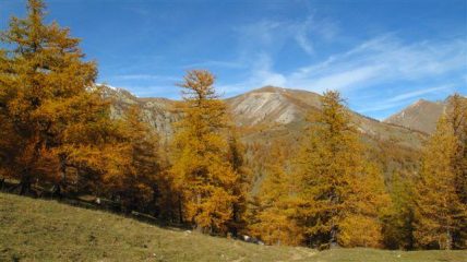 Cartolina verso il Paracouerte